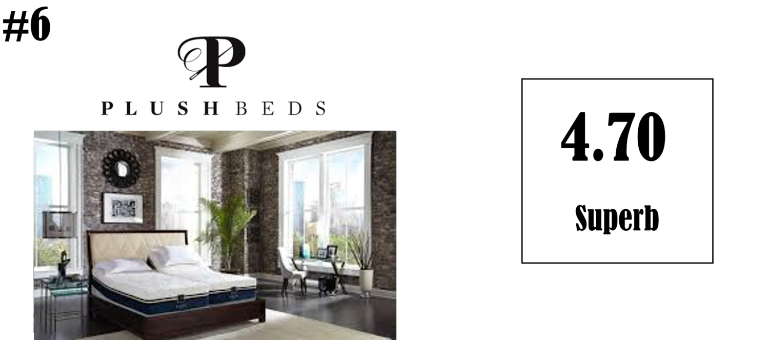 Best Mattress 20212022 RMR Ratings Best Mattress to Buy Coupons